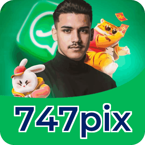 Métodos de pagamento aceitos na 747pix